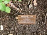 image of grave number 118148