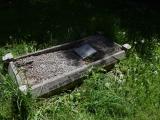 image of grave number 645624