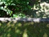 image of grave number 645748
