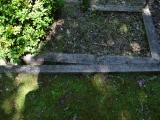 image of grave number 645748