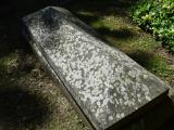 image of grave number 645799