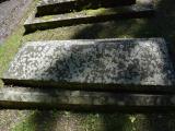 image of grave number 645799