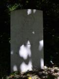 image of grave number 645844