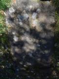 image of grave number 645944