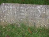 image of grave number 194625