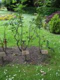 Remembrance Gardens