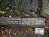 image of grave number 170126