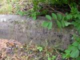 image of grave number 170152