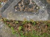 image of grave number 170212