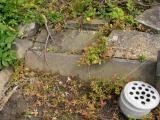 image of grave number 170238