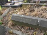 image of grave number 170423