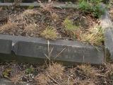 image of grave number 170423
