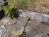 image of grave number 169972