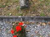 image of grave number 84237