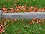 image of grave number 26770