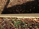 image of grave number 26837