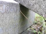image of grave number 345573