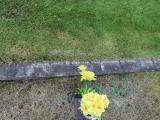 image of grave number 345781
