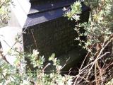 image of grave number 157956