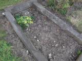 image of grave number 158202