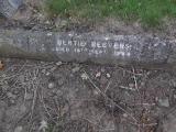 image of grave number 158241
