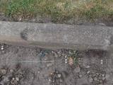 image of grave number 158286