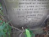 image of grave number 158356