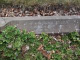 image of grave number 158378