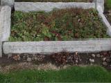 image of grave number 159147