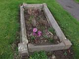 image of grave number 159184