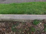 image of grave number 159184