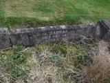 image of grave number 159376