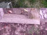 image of grave number 159378