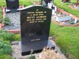image of grave number 160103