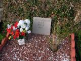 image of grave number 160181