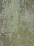 image of grave number 392980