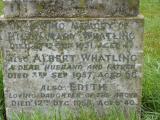 image of grave number 393036
