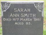 image of grave number 393110