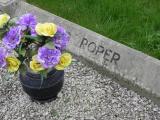 image of grave number 430165