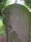 St Wilfrid