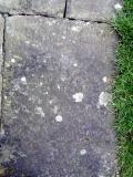 St Peter ad Vincula