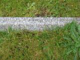 image of grave number 781563