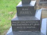 image of grave number 510823