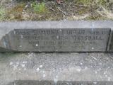 image of grave number 510824