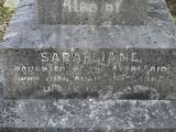 image of grave number 510825