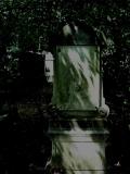 image of grave number 517298