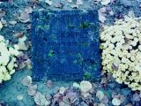 image of grave number 274580