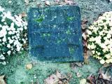 image of grave number 274581