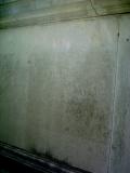 image of grave number 412157