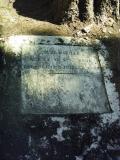 image of grave number 337755